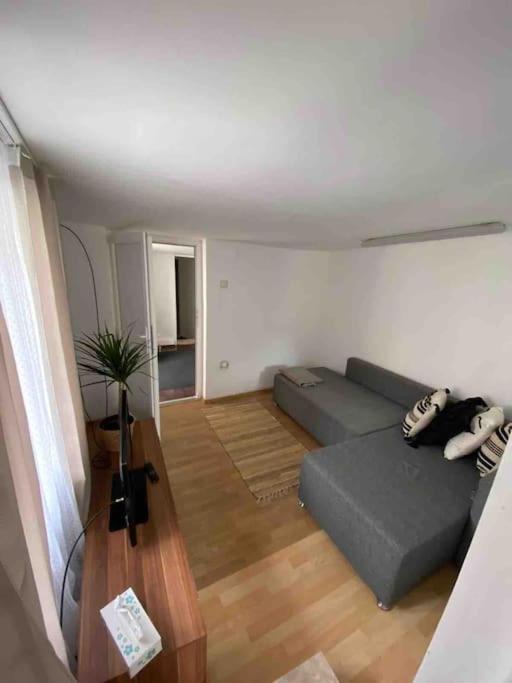 House Apartment In Тимишоара Екстериор снимка