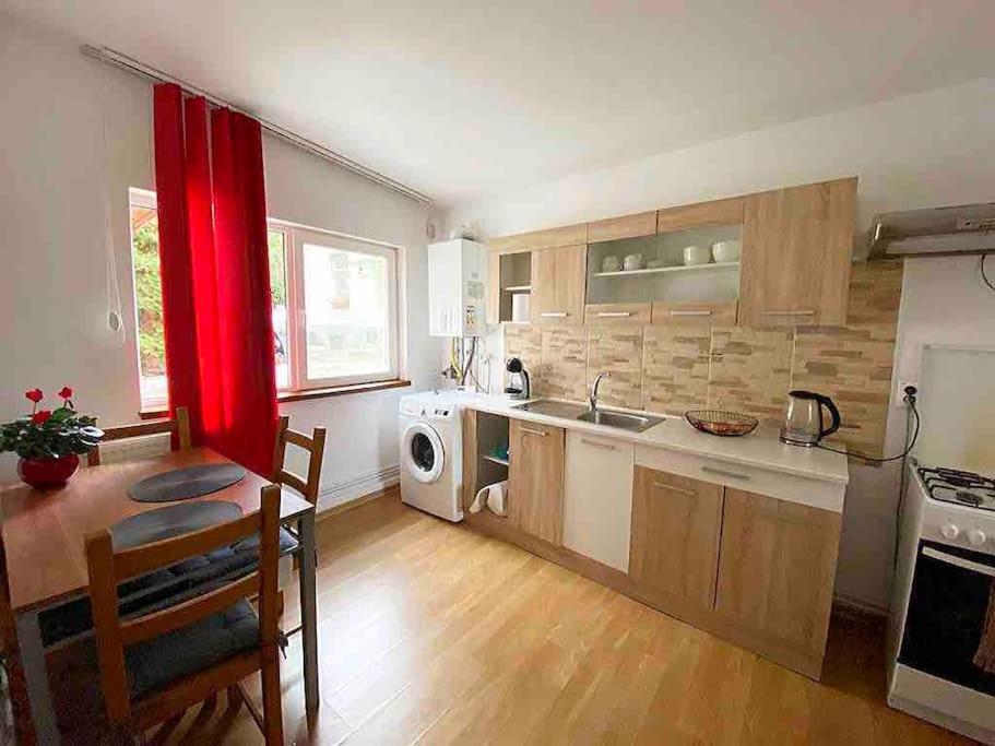 House Apartment In Тимишоара Екстериор снимка